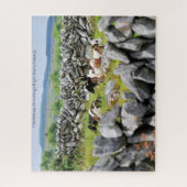 Murs de pierre du Kerry. Puzzle (Vertical)