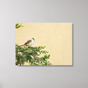 Mus Canvas Afdruk