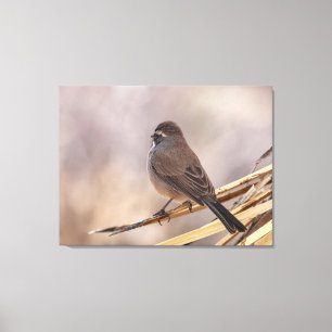 Mus op een dunne tak  canvas afdruk