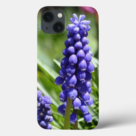 Muscari (Grape Hyacinth) iPad Case (Achterkant)