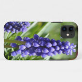 Muscari (Grape Hyacinth) iPhone 5 Coque (Dos (Horizontal))