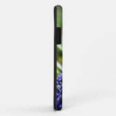 Muscari (Grape Hyacinth) iPhone 5 Coque (Dos/Droite)