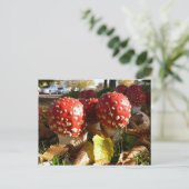 Muscaria van de amaniet briefkaart (Staand voorkant)