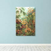  Muscinae, Mos Planten door Ernst Haeckel Canvas Afdruk (Insitu (Houten vloer))