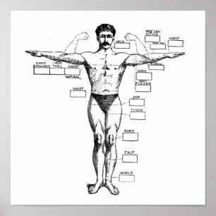  Muscleman uit 1905 Poster