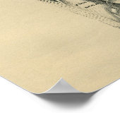 Muscles de dos humains Anatomie 1902 Impression Vi (Coin)