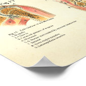 Muscles et Articulations Poster de l'anatomie huma (Coin)