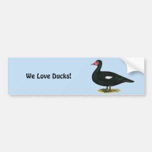 Muscovy Black Drake Bumpersticker