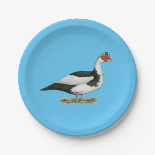 Muscovy Black Pied Drake Papieren Bordje