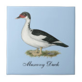 Muscovy Black Pied Duck Tegeltje (Voorkant)
