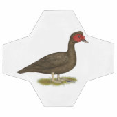 Muscovy Drake Chocolat (Plat)