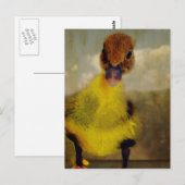 Muscovy Dreamweaver' Briefkaart (Voorkant / Achterkant)