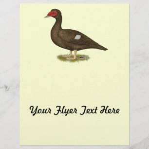Muscovy Duck Chocolade Flyer