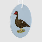 Muscovy Duck Chocolade Ornament (voorkant)