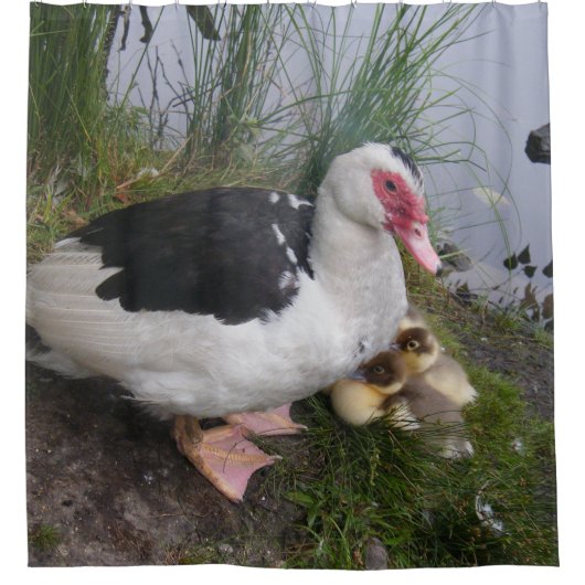 Muscovy Duck Mam en Ducklings Douchegordijn (Voorkant)