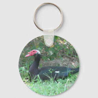 Muscovy Duck Sleutelhanger