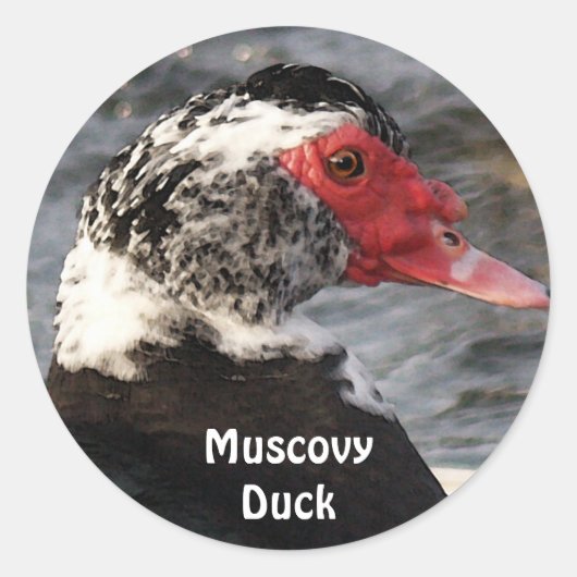 Muscovy Duck Vogel Wildlife Sticker (Voorkant)