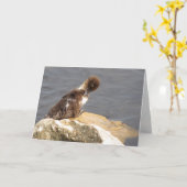 Muscovy Duck Wenskaart Kaart (Gele Bloem)