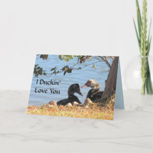 Muscovy Ducks - Carte Saint-Valentin