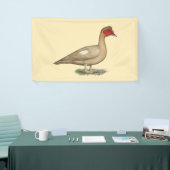 Muscovy Light Chocolate Drake Spandoek (Beurs)