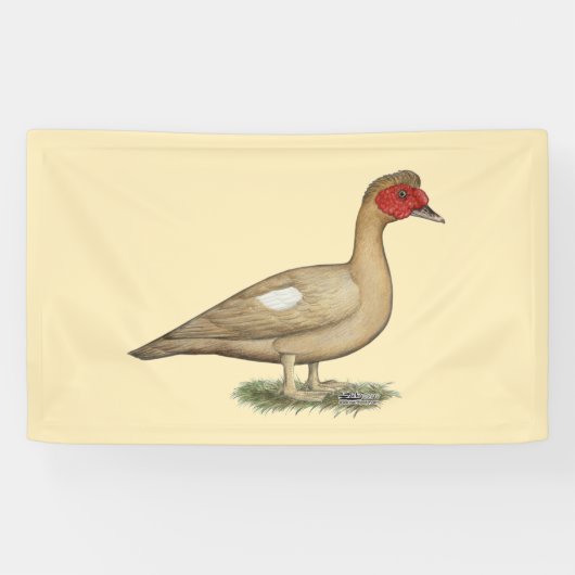 Muscovy Light Chocolate Drake Spandoek (Horizontaal)
