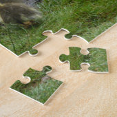 Muscovy Moms Et Ducklings Puzzle (Côté)