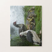 Muscovy Moms Et Ducklings Puzzle (Vertical)