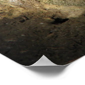 Muscovy Poster de canard blanc avec visage rouge (Coin)