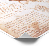 Musea van de Torso, Leonarod da Vinci Poster (Hoek)