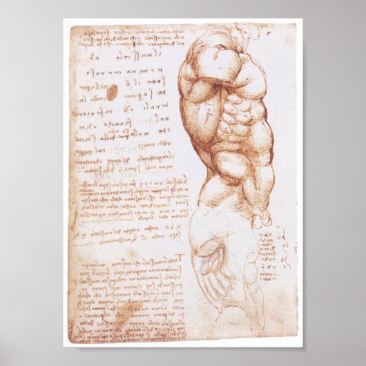 Musea van de Torso, Leonarod da Vinci Poster (Voorkant)
