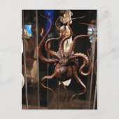 Musée de Houston de carte postale de la Science (Devant)