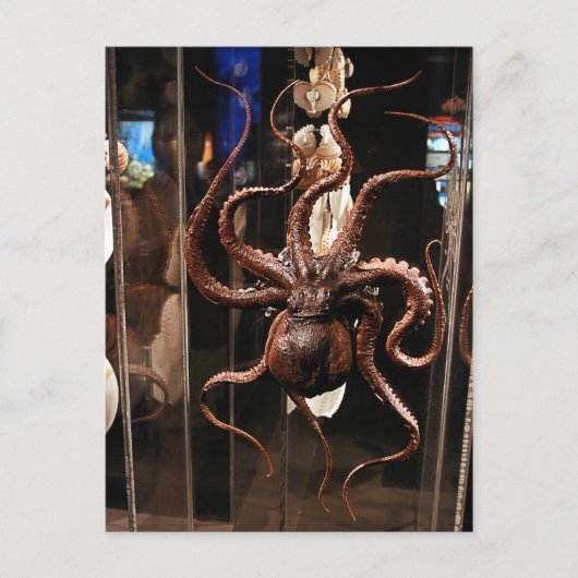 Musée de Houston de carte postale de la Science (Devant)