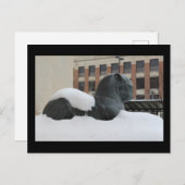 Musée d'Histoire Naturelle, Ann Arbor, carte posta (Devant / Derrière)