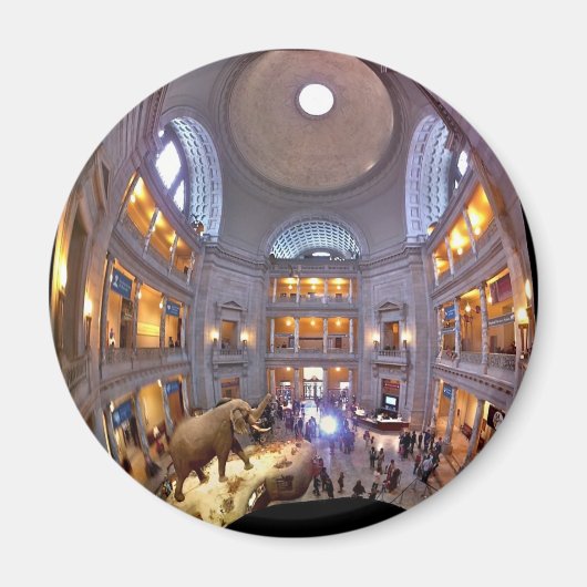 Museum voor Natuurgeschiedenis Magneet (Voorkant)