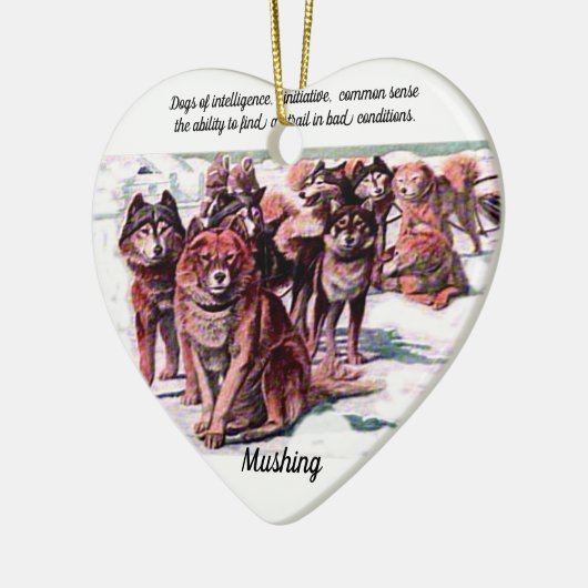 "Mushing" Keramisch Ornament (Links)