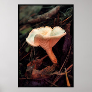 Mushroom Essence Poster -40x60 -andere maten ook