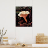 Mushroom Essence Print -20x24 -andere maten ook (Keuken)