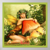 Mushroom Fairy Thunder_Cove Poster (Voorkant)