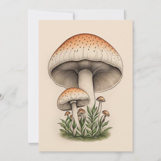 MUSHROOM KAART (Voorkant)