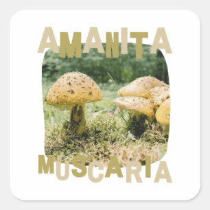 Mushroom lover, amanita muscaria, Natuur Vierkante Sticker