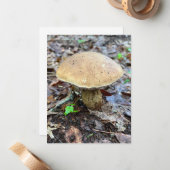 Mushroom Note Kaart Notitiekaartje (Voorkant / Achterkant in situ)