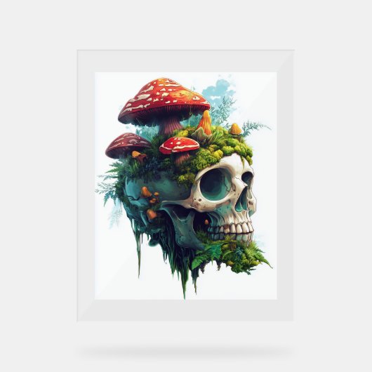 Mushroom Skull Grove (Recto)