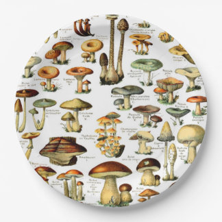 MUSHROOMMEN 4 PAPIEREN BORDJE