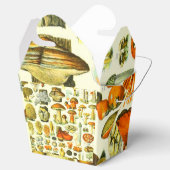 MUSHROOMS 2 BEDANKDOOSJES (Geopend)