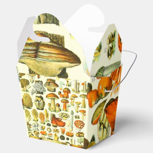 MUSHROOMS 2 BEDANKDOOSJES (Geopend)