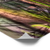 Mushrooms Fantasy Poster (Coin)