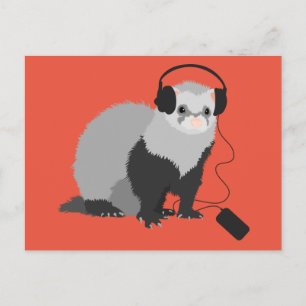 Music Lover Ferret Briefkaart