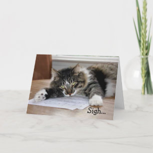 Musical Cat Birthday Song Verjaardag Kaart