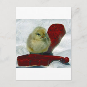 Musical Chick Briefkaart