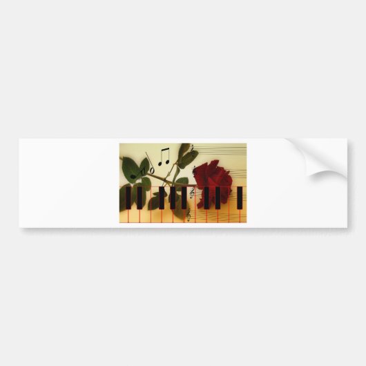 Musical Panio Keys Bumpersticker (Voorkant)